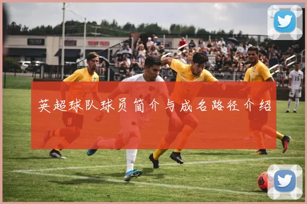 英超球队球员简介与成名路径介绍