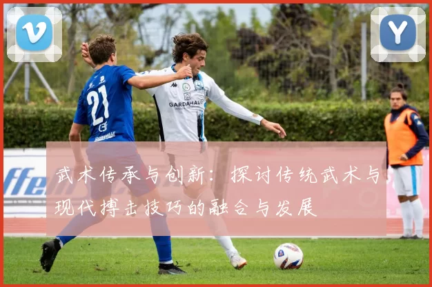 武术传承与创新：探讨传统武术与现代搏击技巧的融合与发展