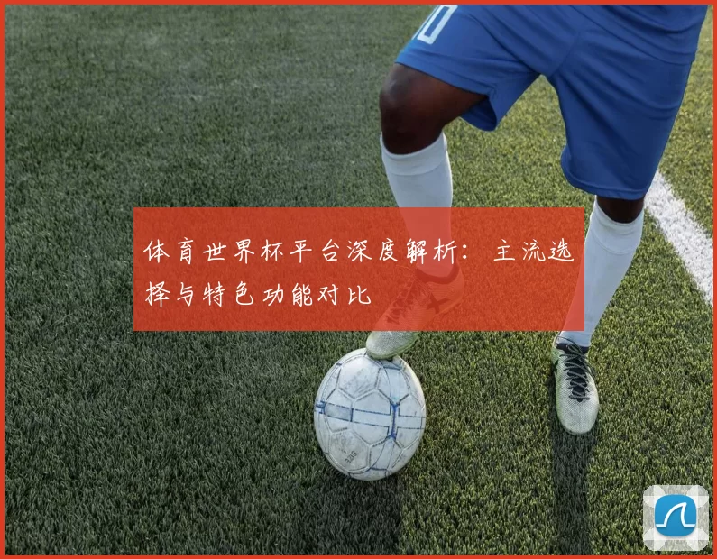 体育世界杯平台深度解析：主流选择与特色功能对比