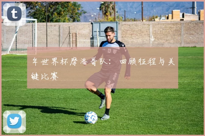 年世界杯摩洛哥队：回顾征程与关键比赛