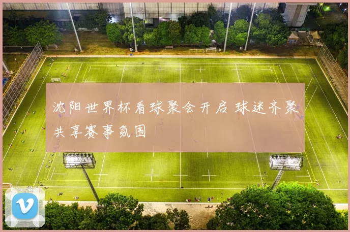 沈阳世界杯看球聚会开启 球迷齐聚共享赛事氛围