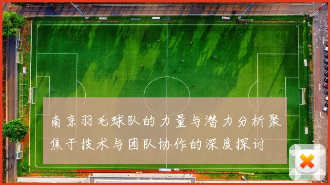 南京羽毛球队的力量与潜力分析聚焦于技术与团队协作的深度探讨