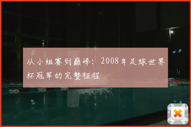 从小组赛到巅峰：2008年足球世界杯冠军的完整征程
