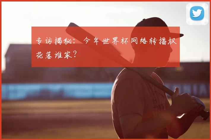 专访揭秘:今年世界杯网络转播权花落谁家?