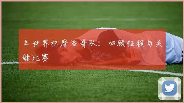 年世界杯摩洛哥队：回顾征程与关键比赛
