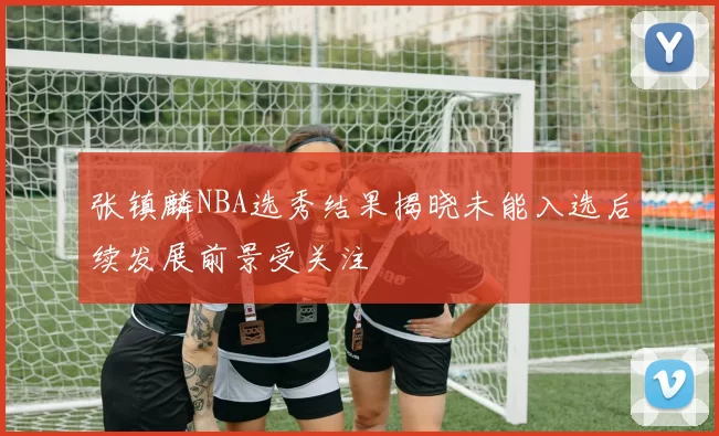 张镇麟NBA选秀结果揭晓未能入选后续发展前景受关注