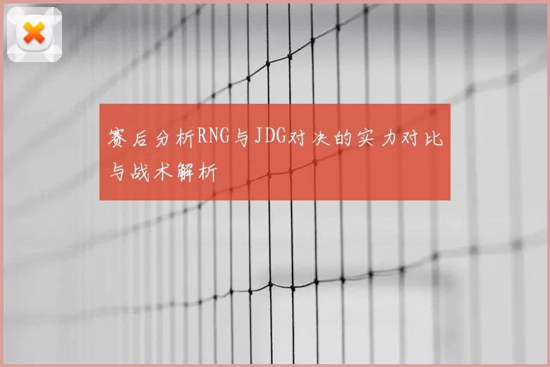 赛后分析RNG与JDG对决的实力对比与战术解析