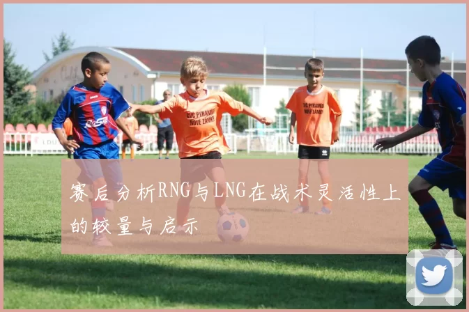 赛后分析RNG与LNG在战术灵活性上的较量与启示