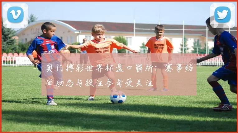 奥门搏彩世界杯盘口解析：赛事赔率动态与投注参考受关注