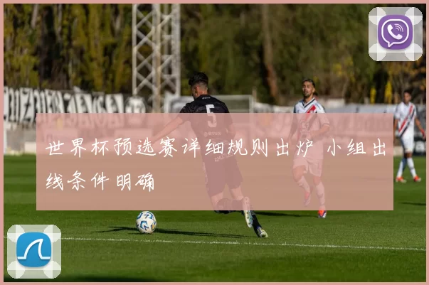 世界杯预选赛详细规则出炉 小组出线条件明确