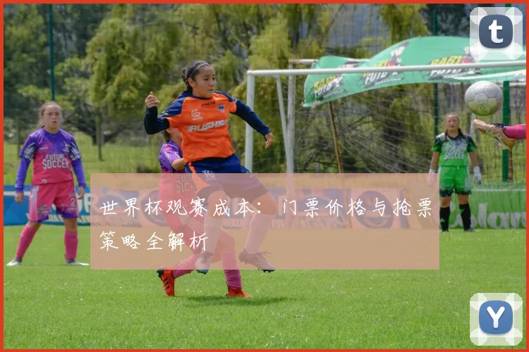 世界杯观赛成本：门票价格与抢票策略全解析