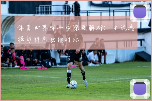 体育世界杯平台深度解析：主流选择与特色功能对比