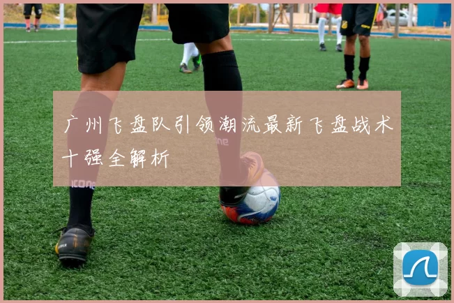 广州飞盘队引领潮流最新飞盘战术十强全解析