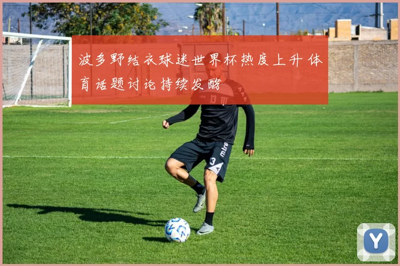 波多野结衣球迷世界杯热度上升 体育话题讨论持续发酵