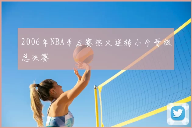 2006年NBA季后赛热火逆转小牛晋级总决赛