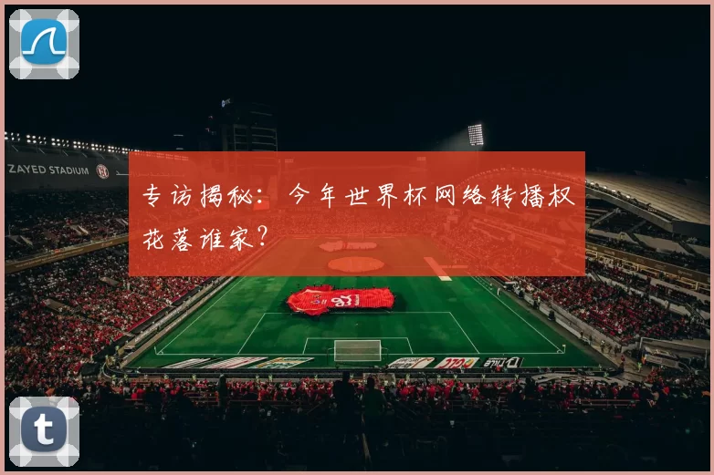 专访揭秘:今年世界杯网络转播权花落谁家?