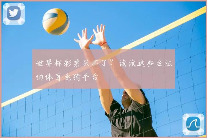 世界杯彩票买不了?试试这些合法的体育竞猜平台