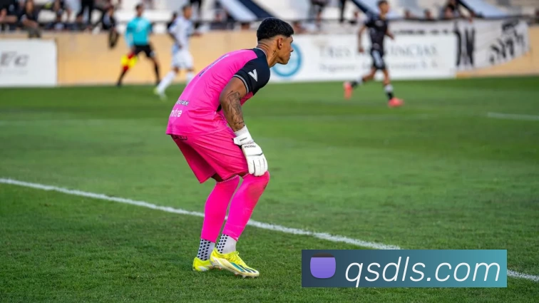 星空体育APP 封面图